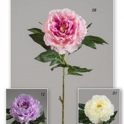 Vara peonia garden 78 cm.