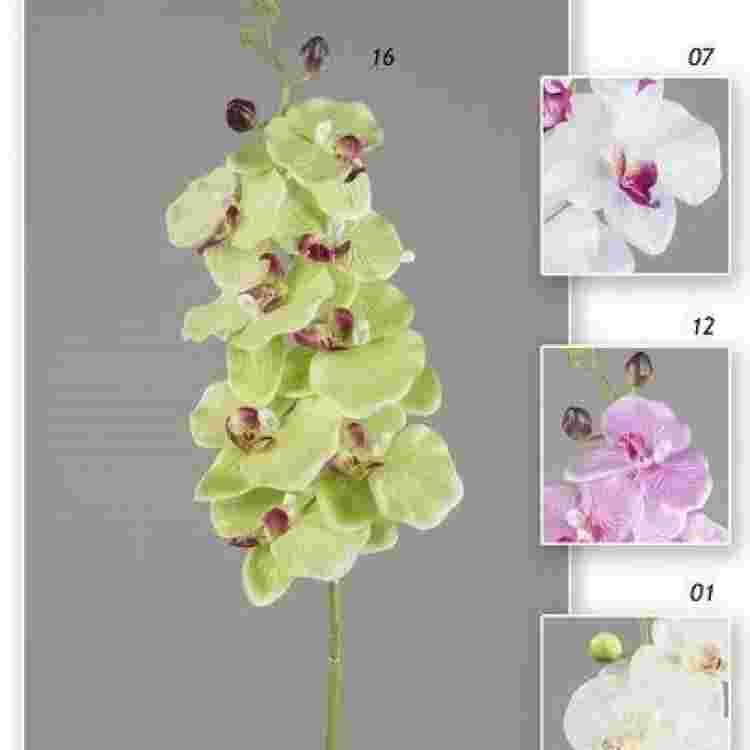 Vara phalaenopsis 95 cm