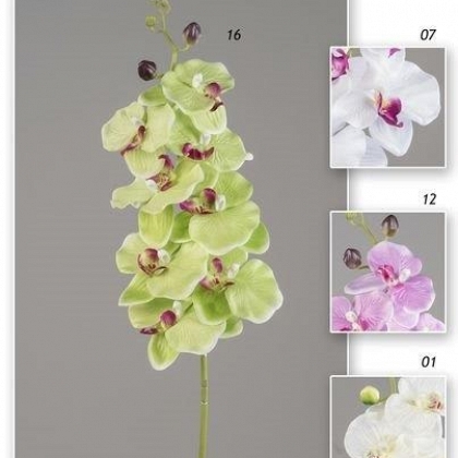 Vara phalaenopsis 95 cm