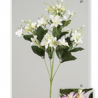 Vara star flower 80 cm.
