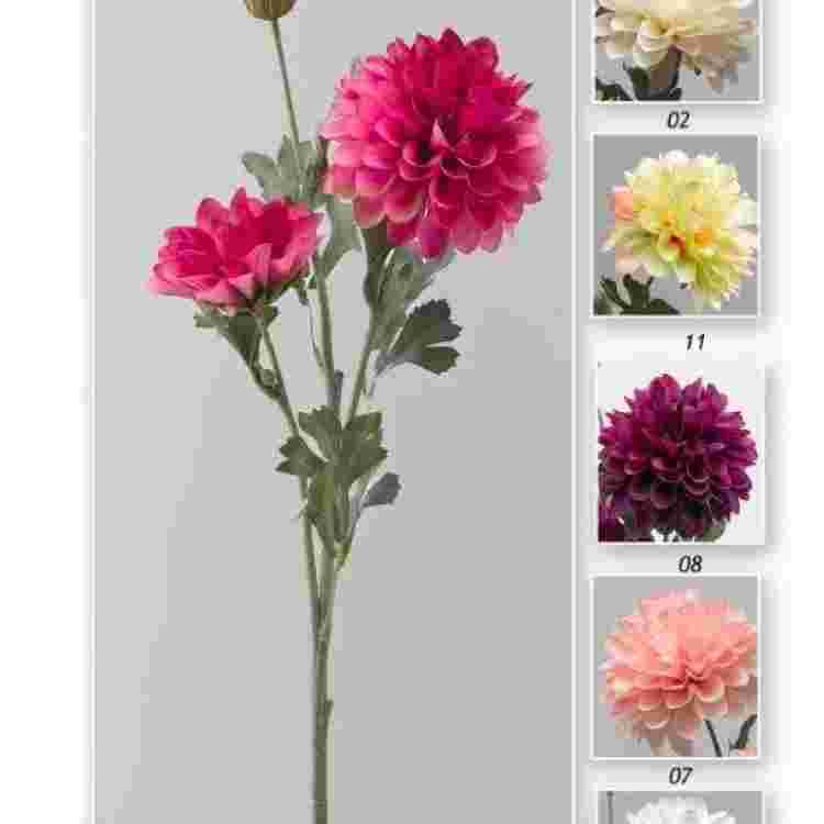 Vara zinnia x 3 66 cm.